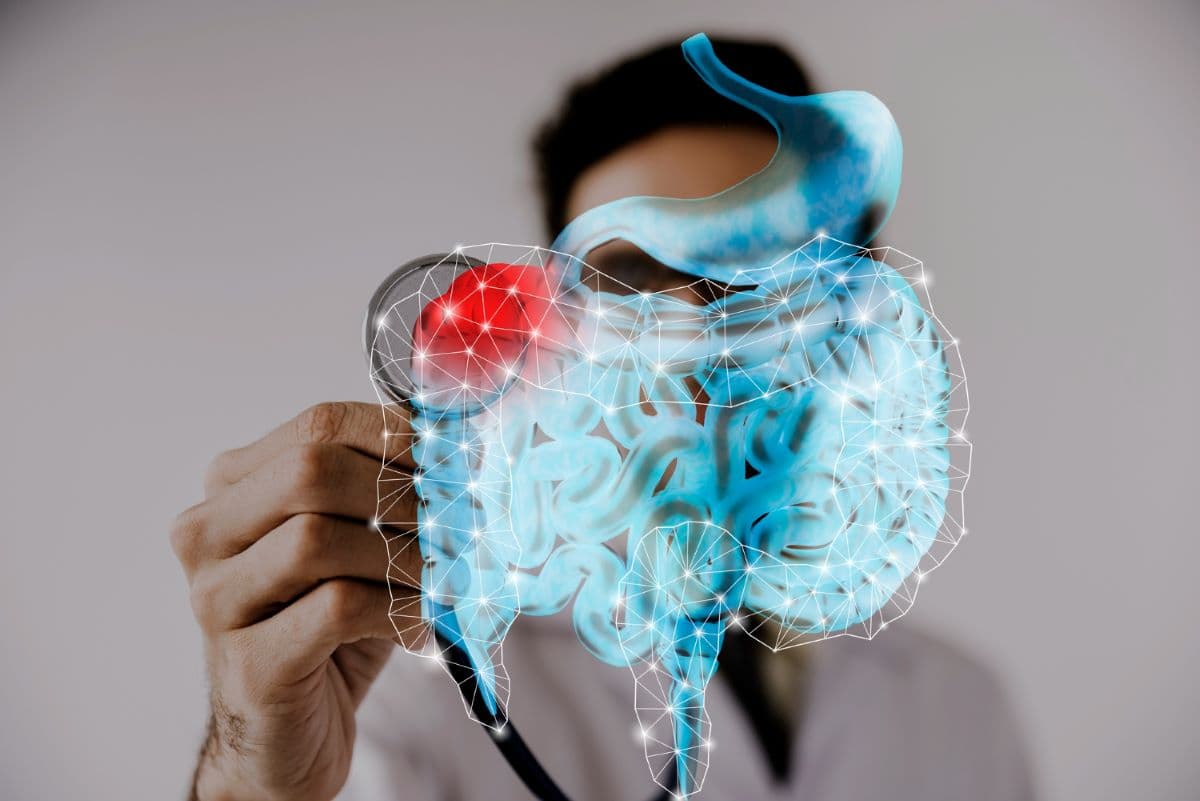 Microbiota Saludable, Vida Saludable: Guía Completa para Cuidar tus Bacterias Intestinales